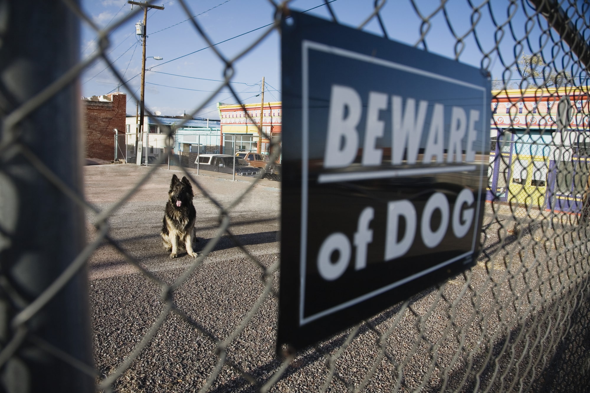 How A Dog Bite Lawyer Can Help Maximize Your Compensation